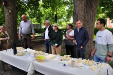 Französische Studentin gewinnt Spargelschälwettbewerb